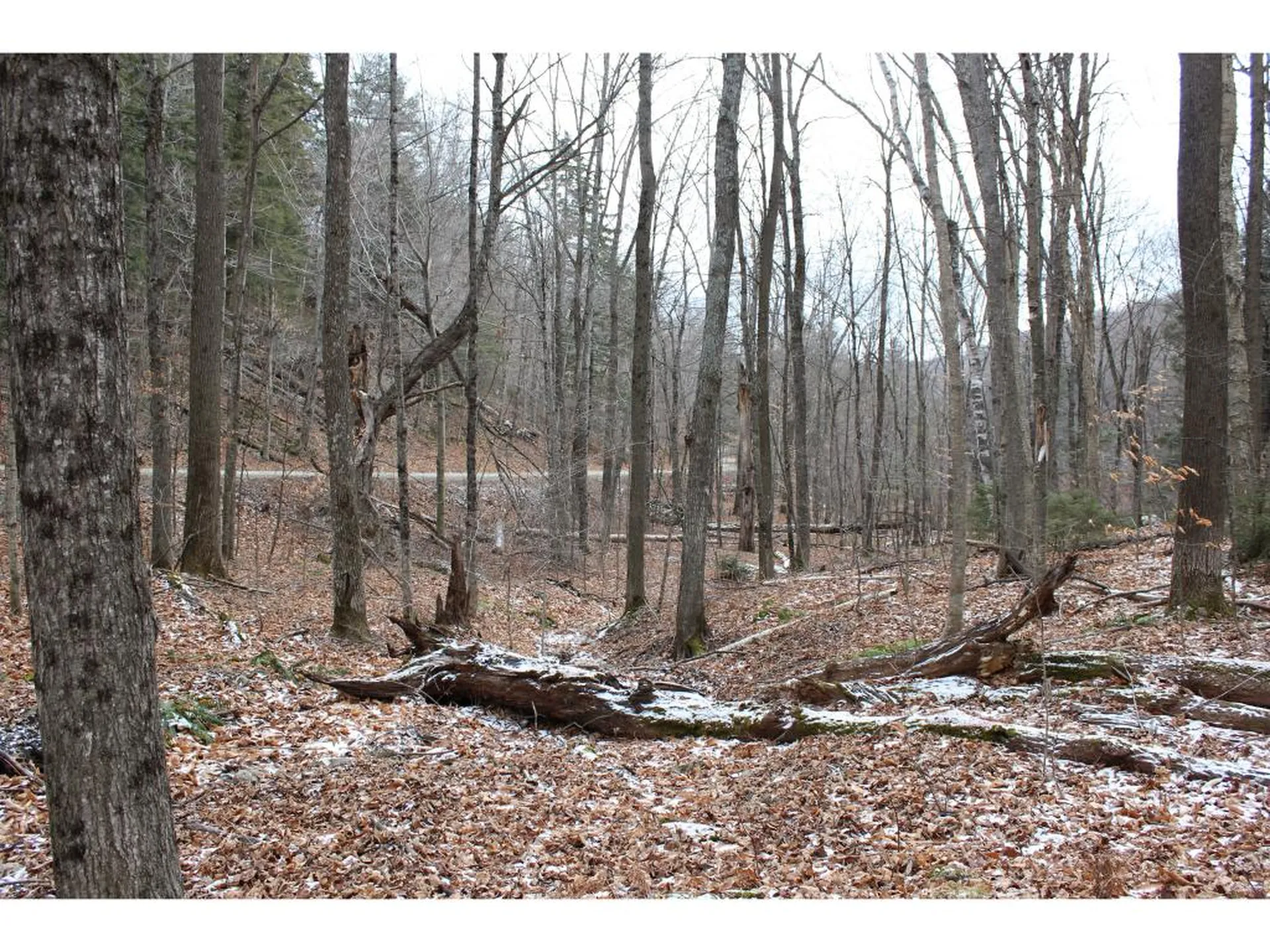 00 Stage Road Barnard VT 05031