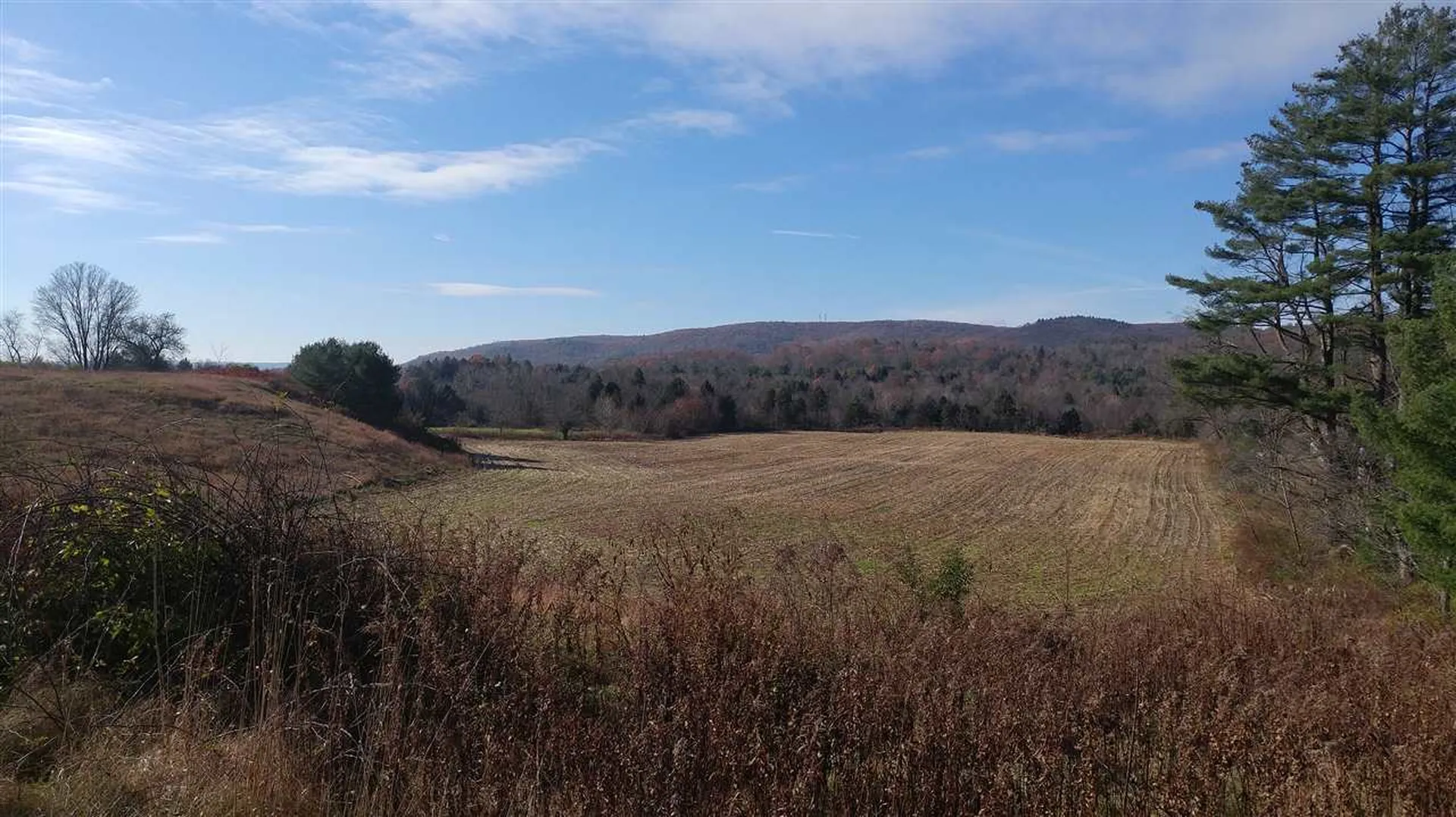 170 Cheshire Turnpike Langdon NH 03602