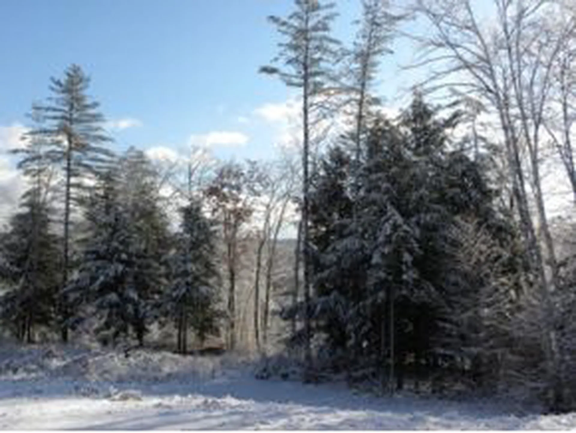 Lot 4 Route 100 North Ludlow VT 05149