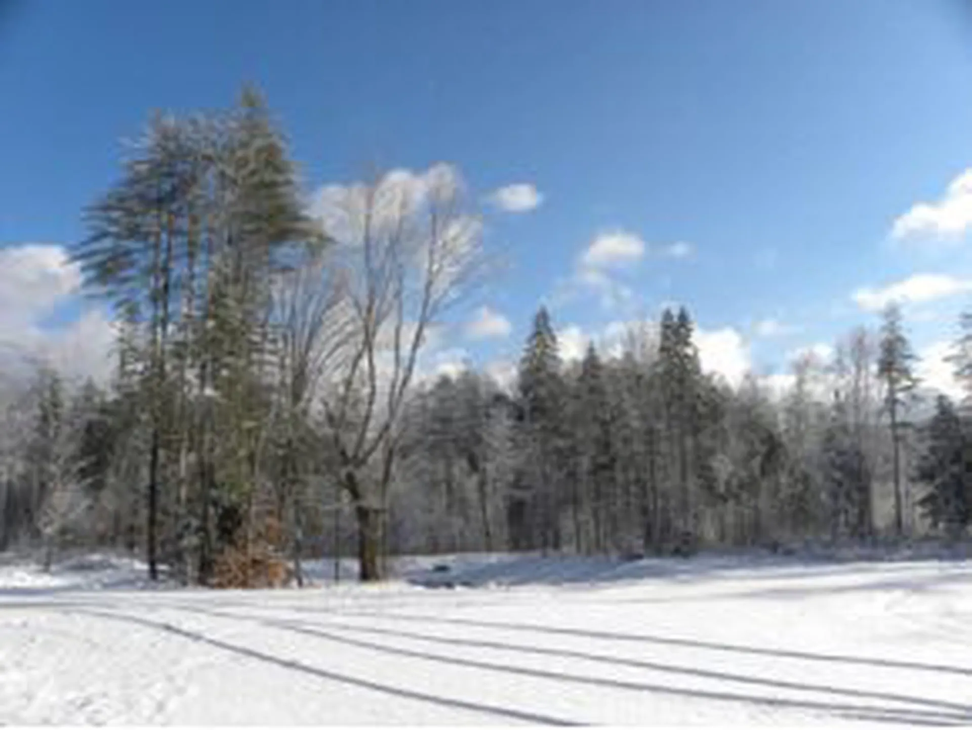 Lot 4 Route 100 North Ludlow VT 05149
