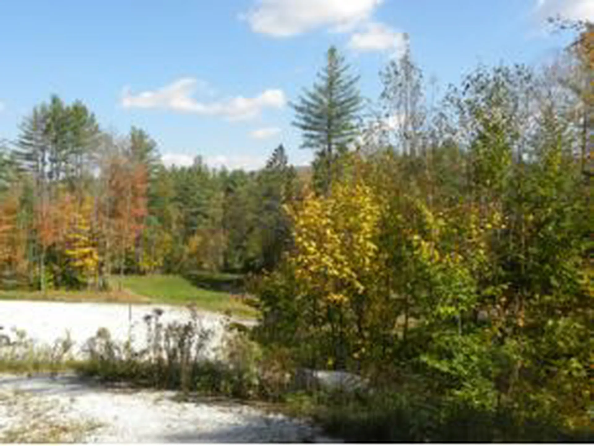 Lot 6 Route 100 North Ludlow VT 05149
