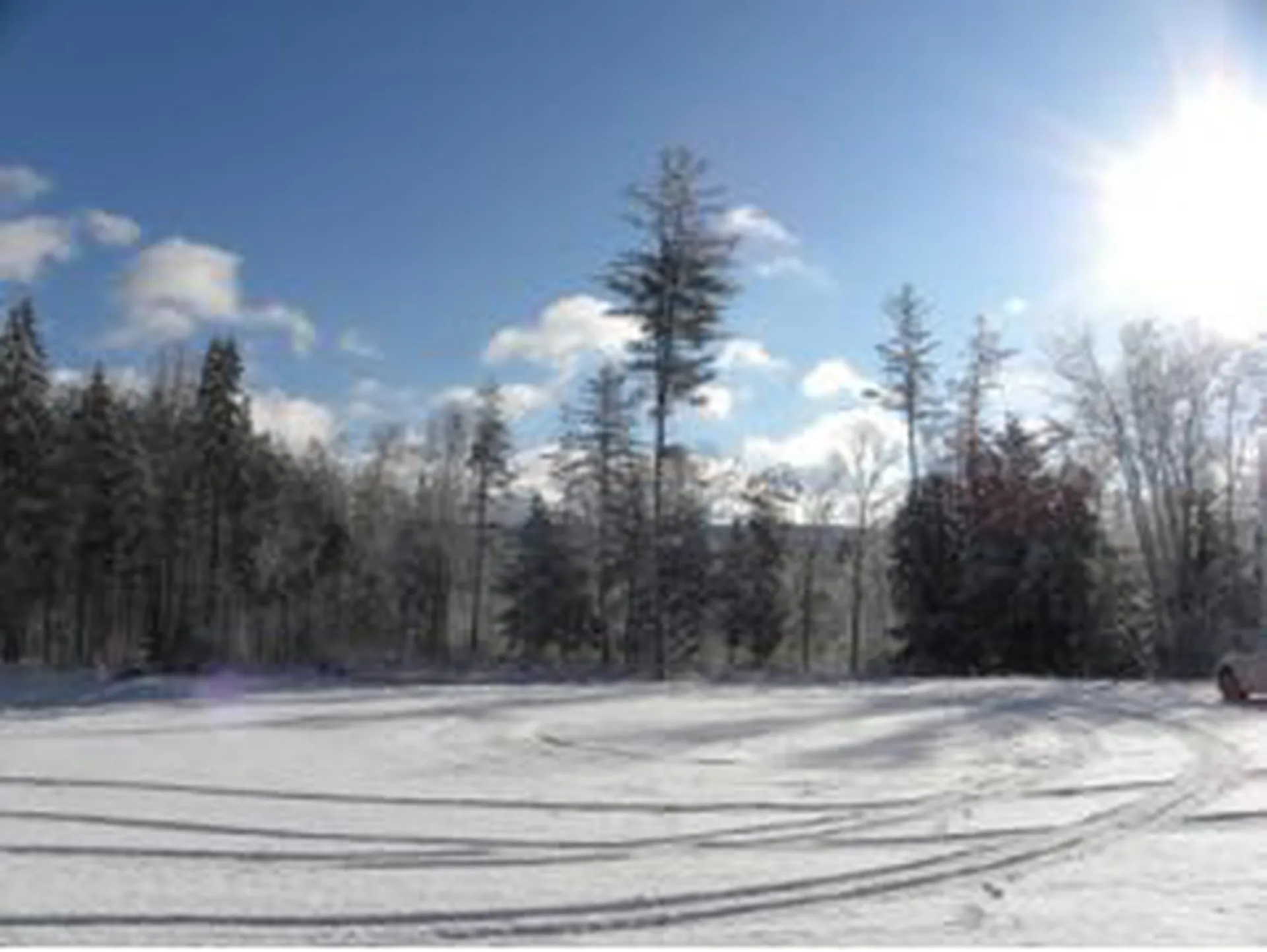 Lot 6 Route 100 North Ludlow VT 05149