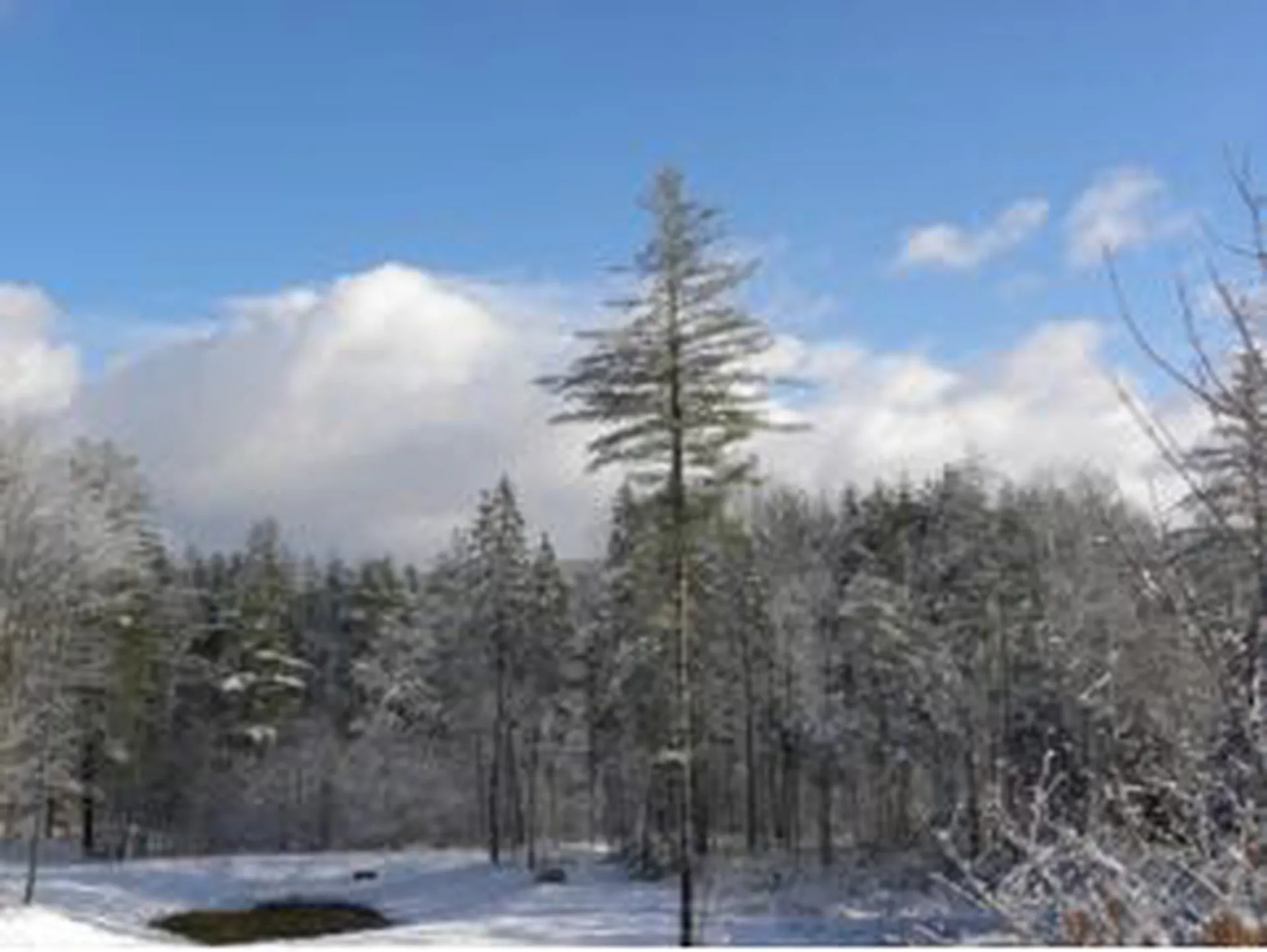 Lot 6 Route 100 North Ludlow VT 05149