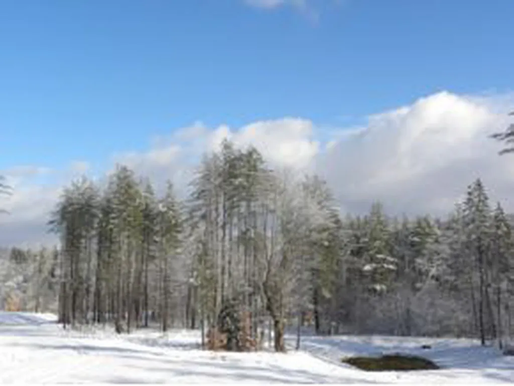 Lot 5 Route 100 North Ludlow VT 05149