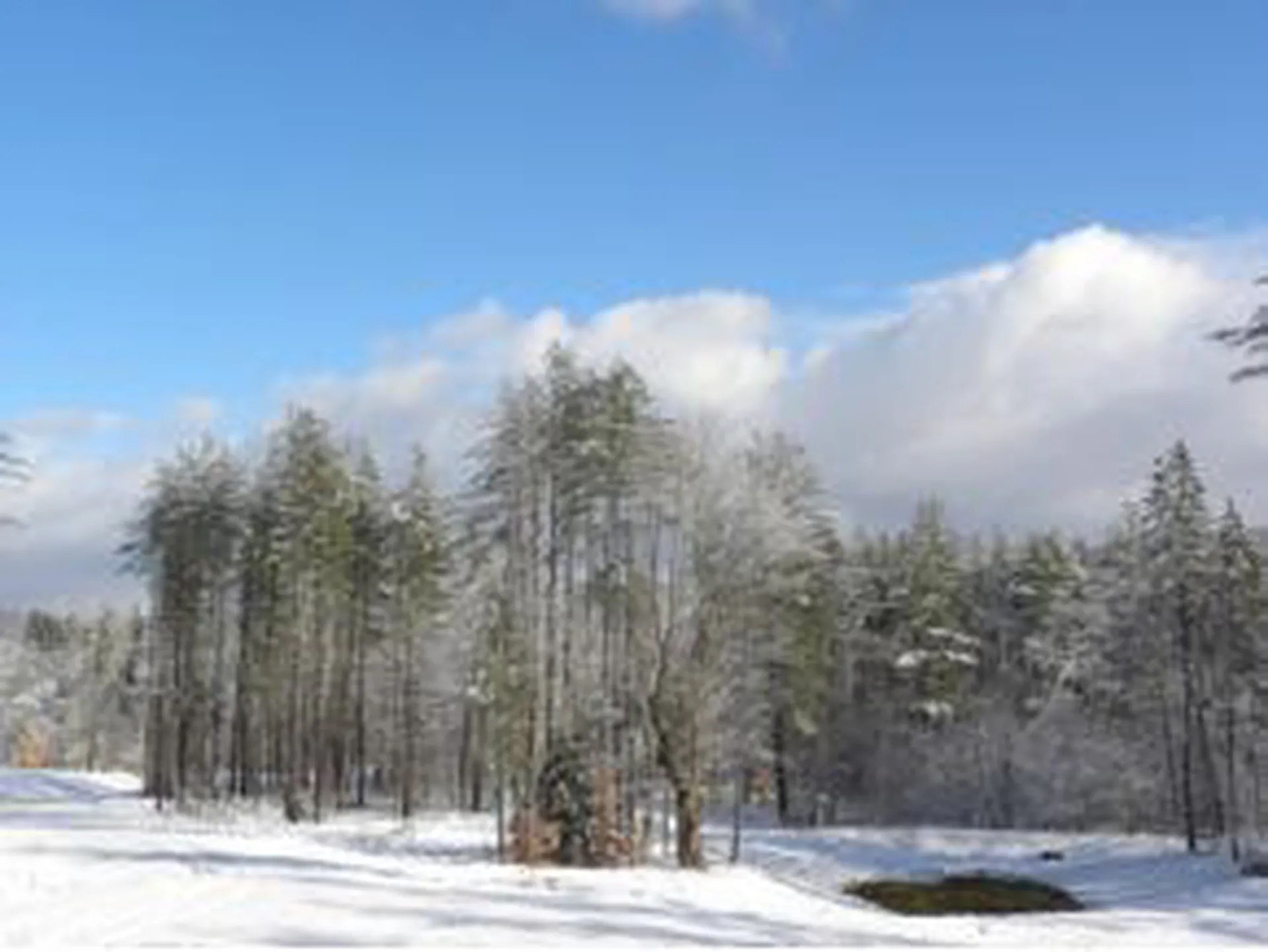 Lot 5 Route 100 North Ludlow VT 05149