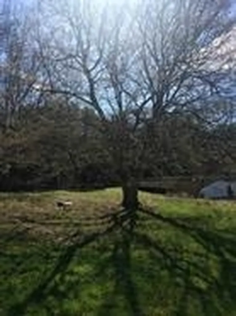 487 Country Club Road Highgate VT 05459
