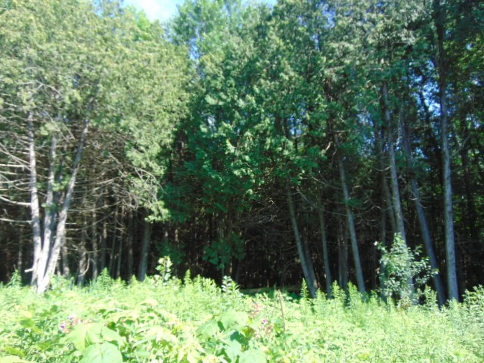 487 Country Club Road Highgate VT 05459