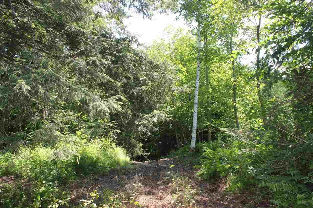 650 Cross Road Londonderry VT 05155