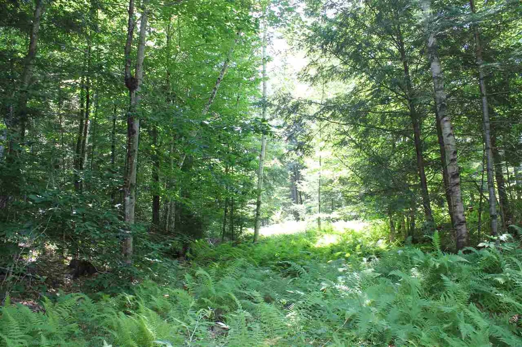650 Cross Road Londonderry VT 05155
