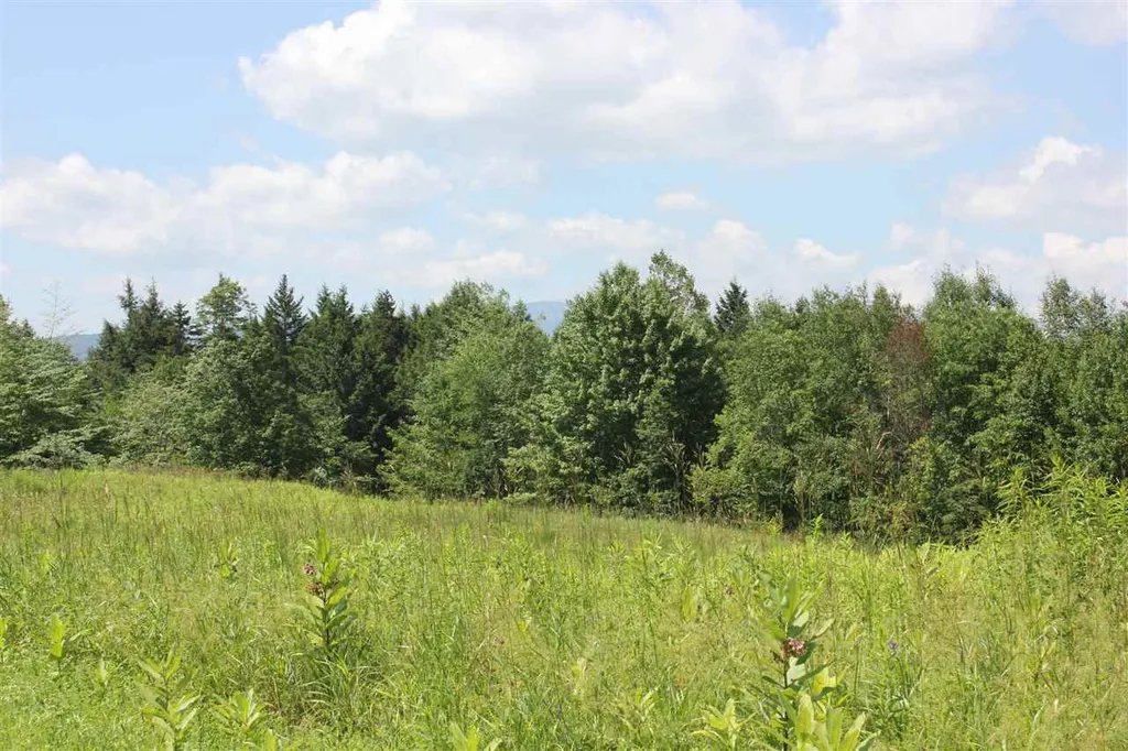 650 Cross Road Londonderry VT 05155