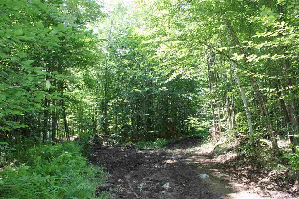 650 Cross Road Londonderry VT 05155