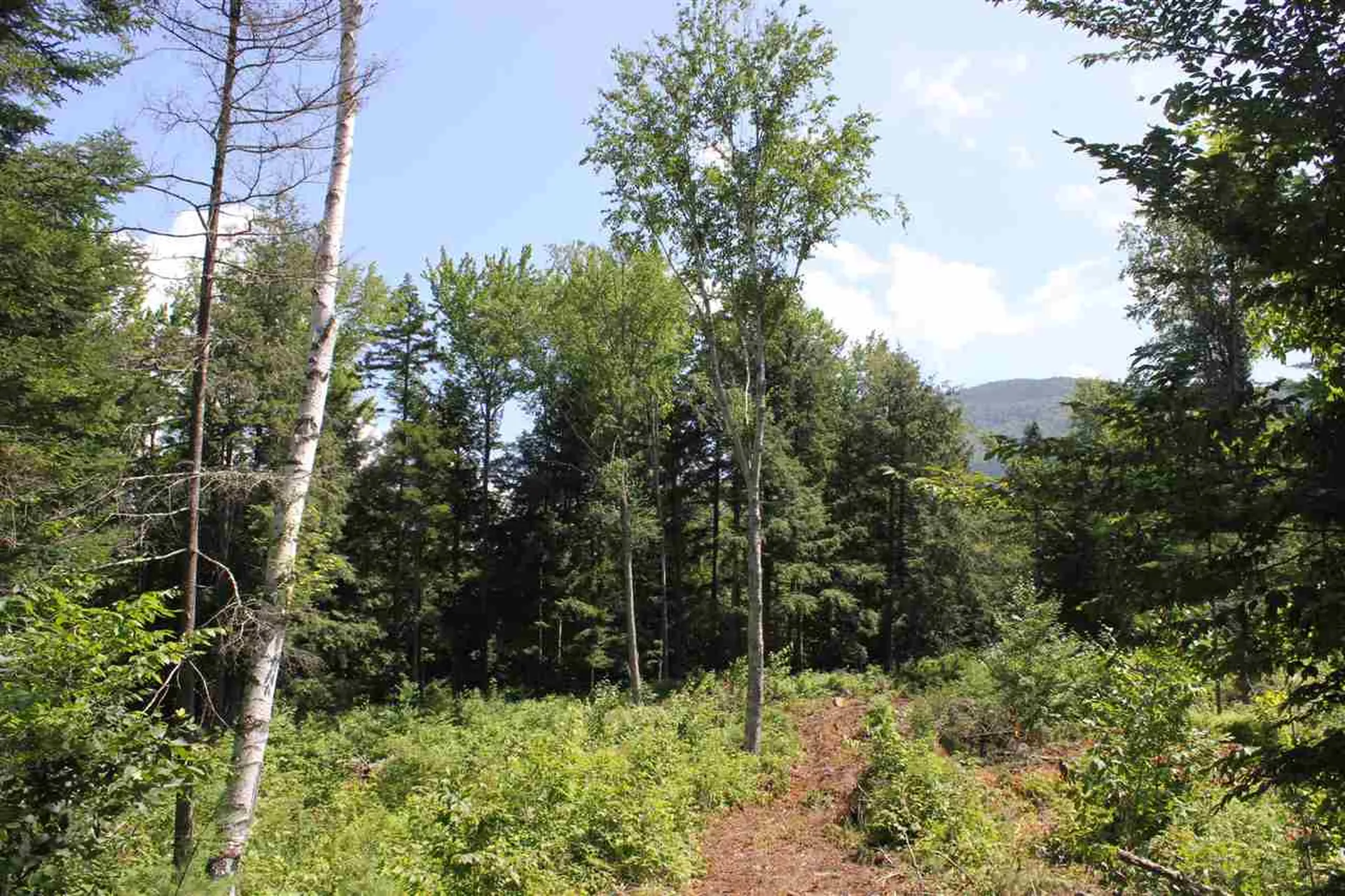 650 Cross Road Londonderry VT 05155