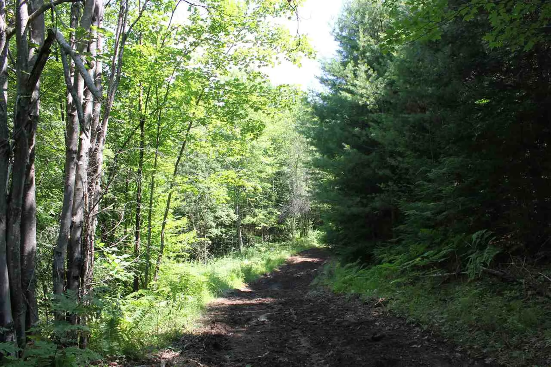 650 Cross Road Londonderry VT 05155