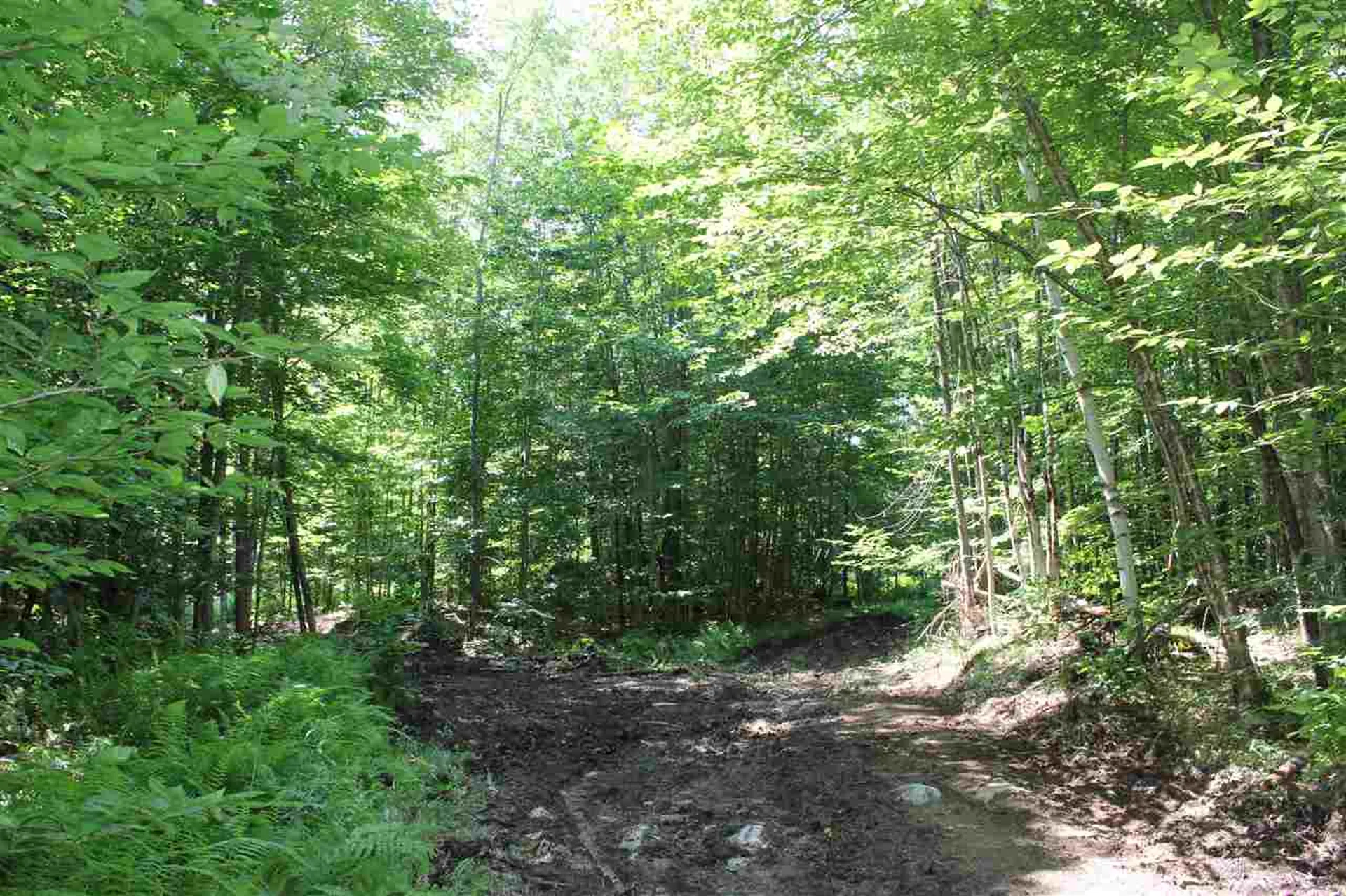 650 Cross Road Londonderry VT 05155