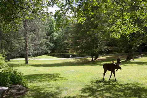 2 Route 100 Weston VT 05161
