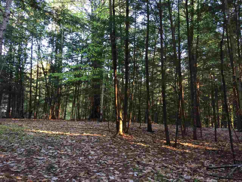 33 Blake Road Weare NH 03281