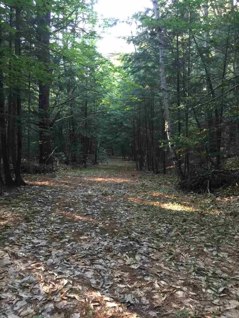 33 Blake Road Weare NH 03281