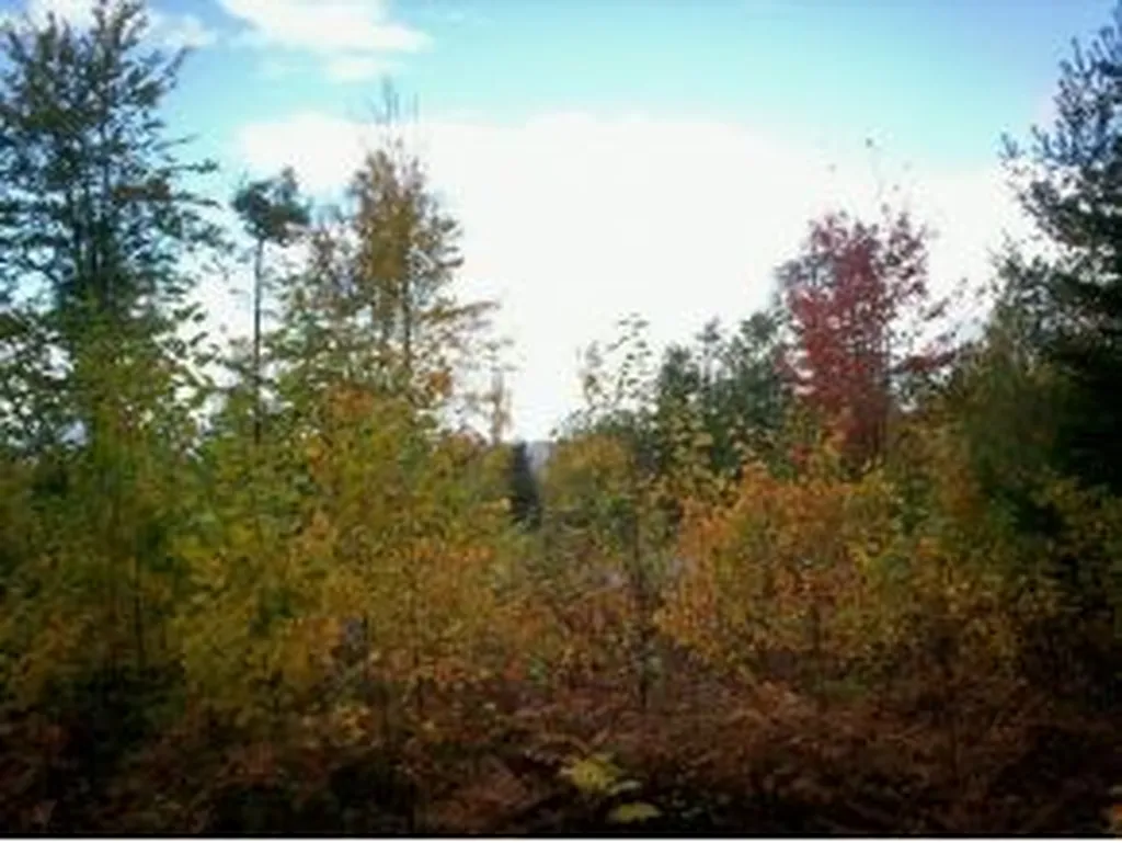 15 Champagne Circle Campton NH 03223
