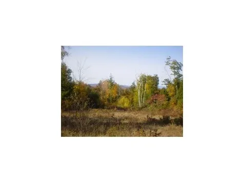 Lot 9 Champagne Circle Campton NH 03223