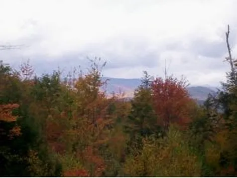 Lot 9 Champagne Circle Campton NH 03223