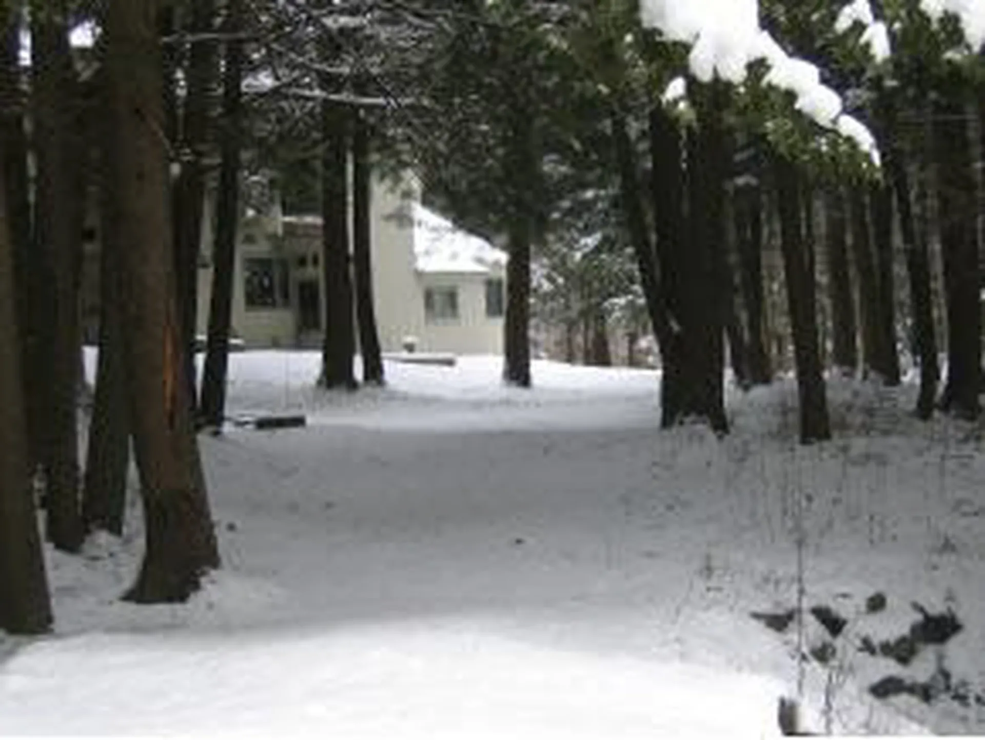 954 Butternut Hill Road Waitsfield VT 05673
