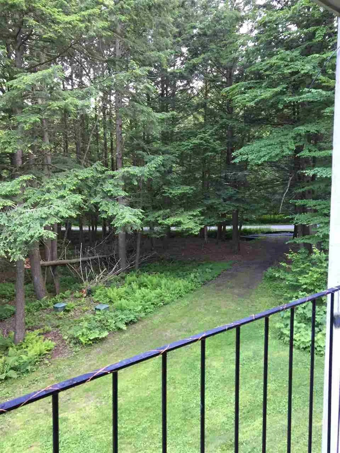 954 Butternut Hill Road Waitsfield VT 05673