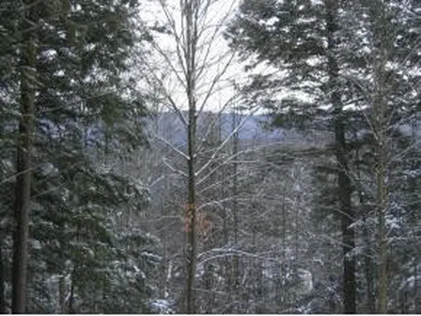 954 Butternut Hill Road Waitsfield VT 05673