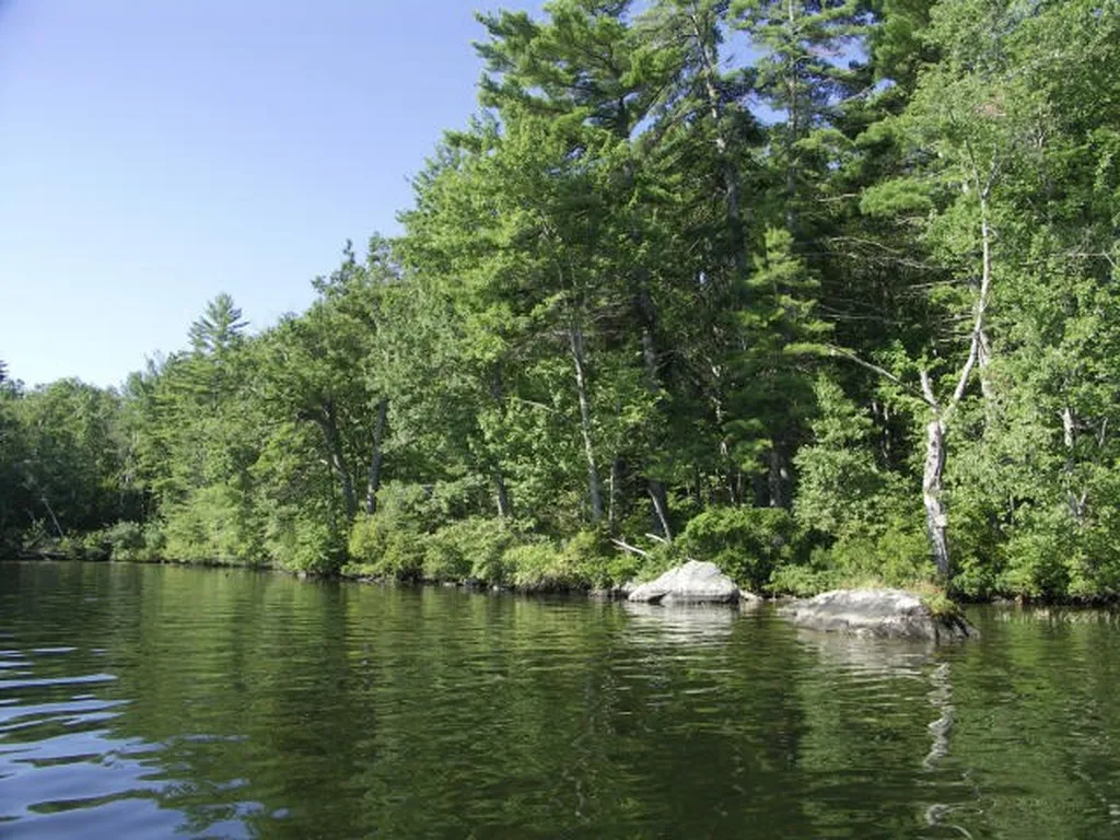 1 Farm Island Tuftonboro NH 03816