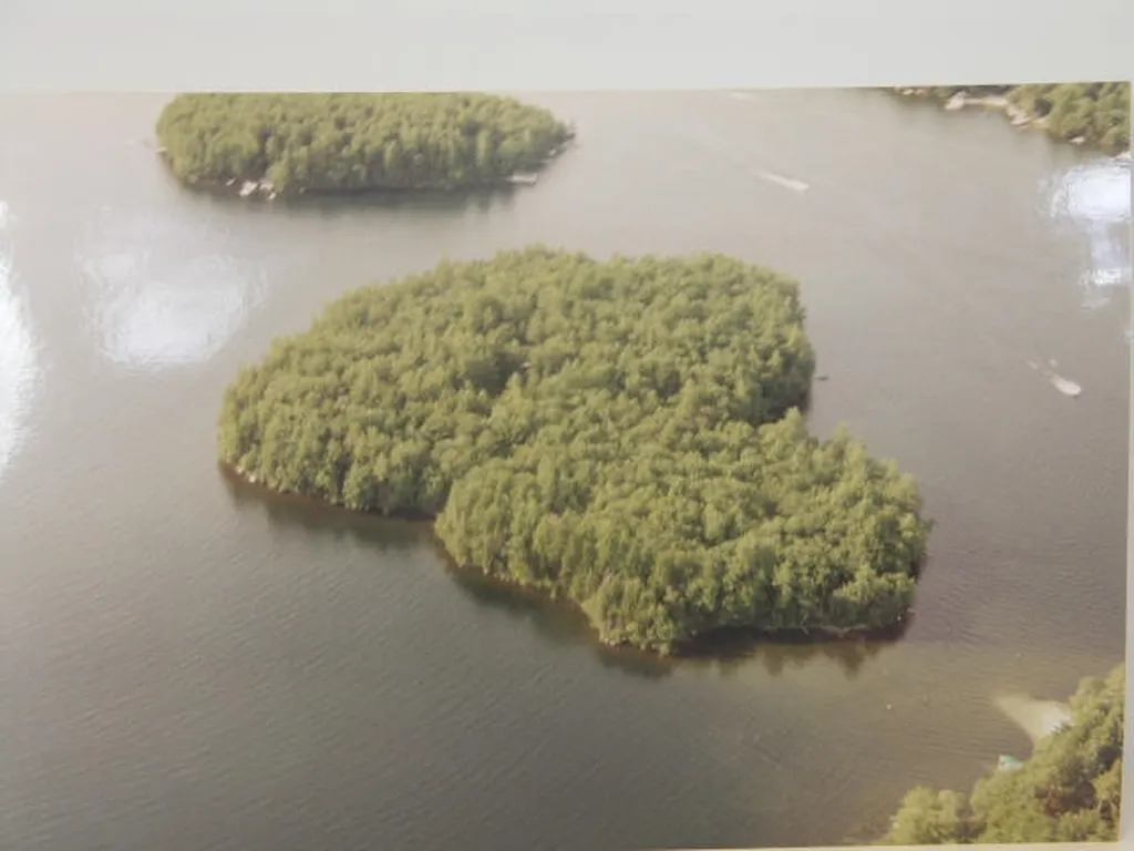 1 Farm Island Tuftonboro NH 03816