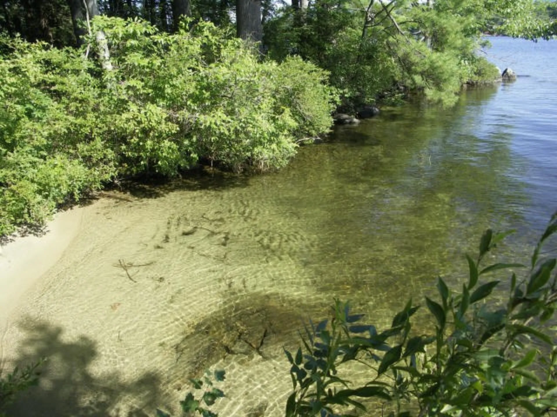 1 Farm Island Tuftonboro NH 03816