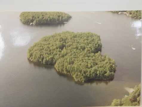 1 Farm Island Tuftonboro NH 03816