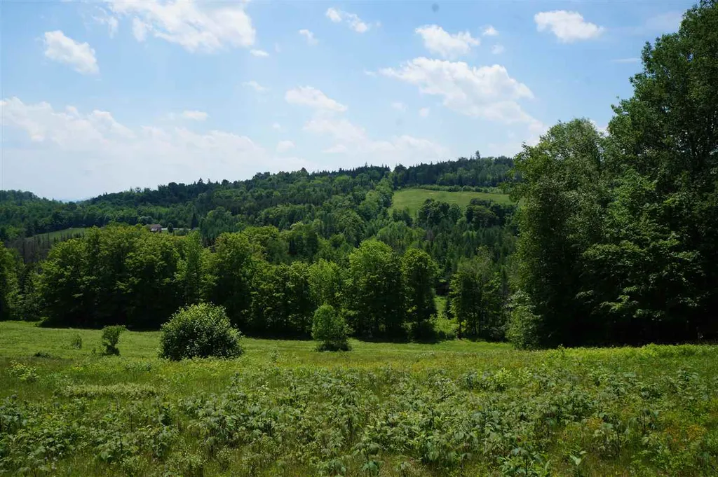 5046 Bayley Hazen Road Peacham VT 05862
