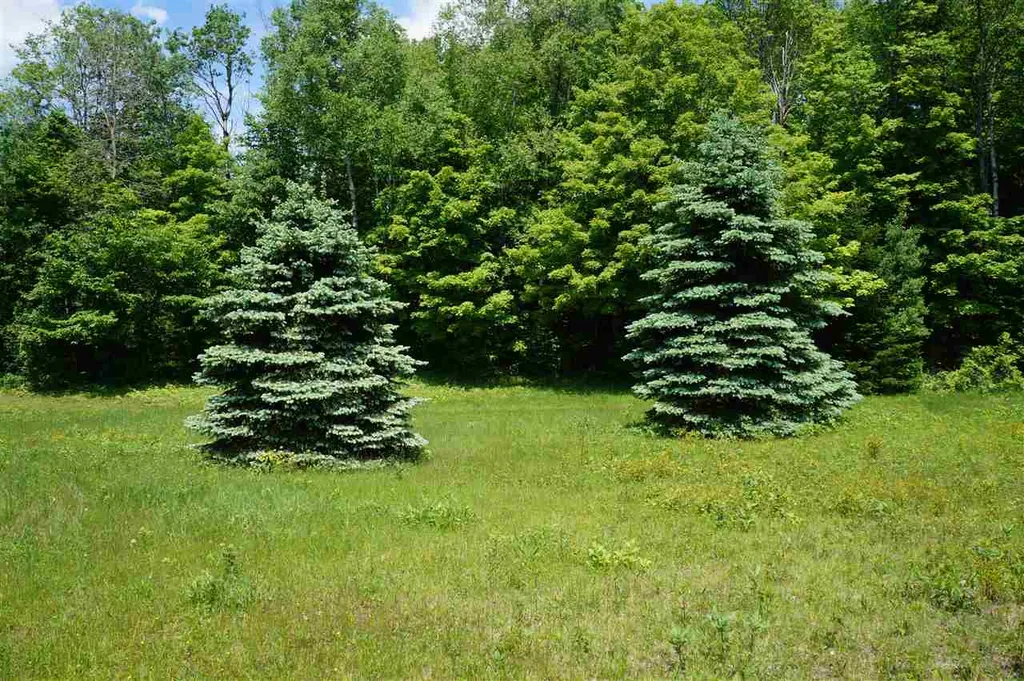5046 Bayley Hazen Road Peacham VT 05862