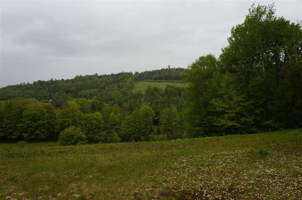 5046 Bayley Hazen Road Peacham VT 05862