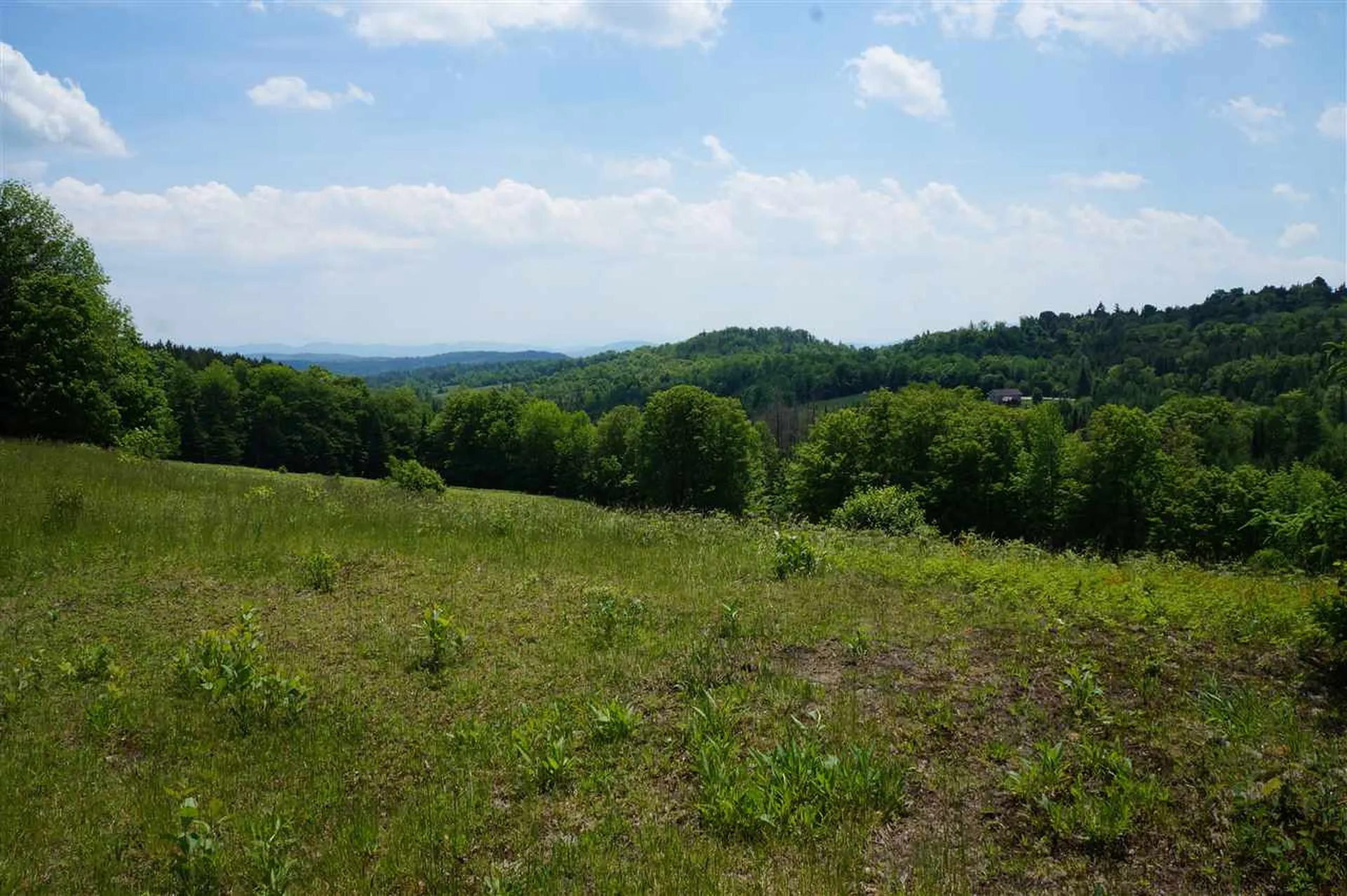 5046 Bayley Hazen Road Peacham VT 05862