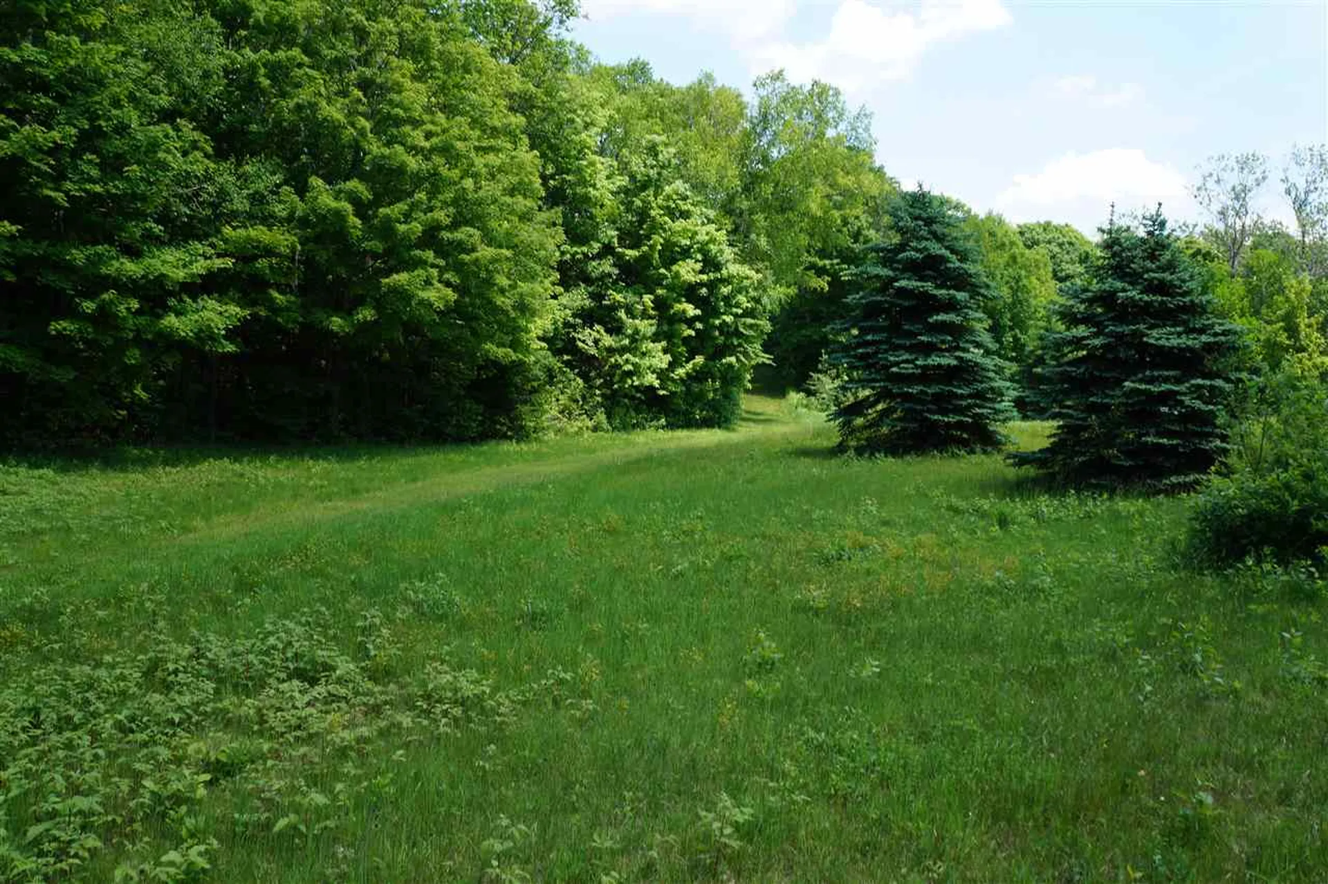 5046 Bayley Hazen Road Peacham VT 05862