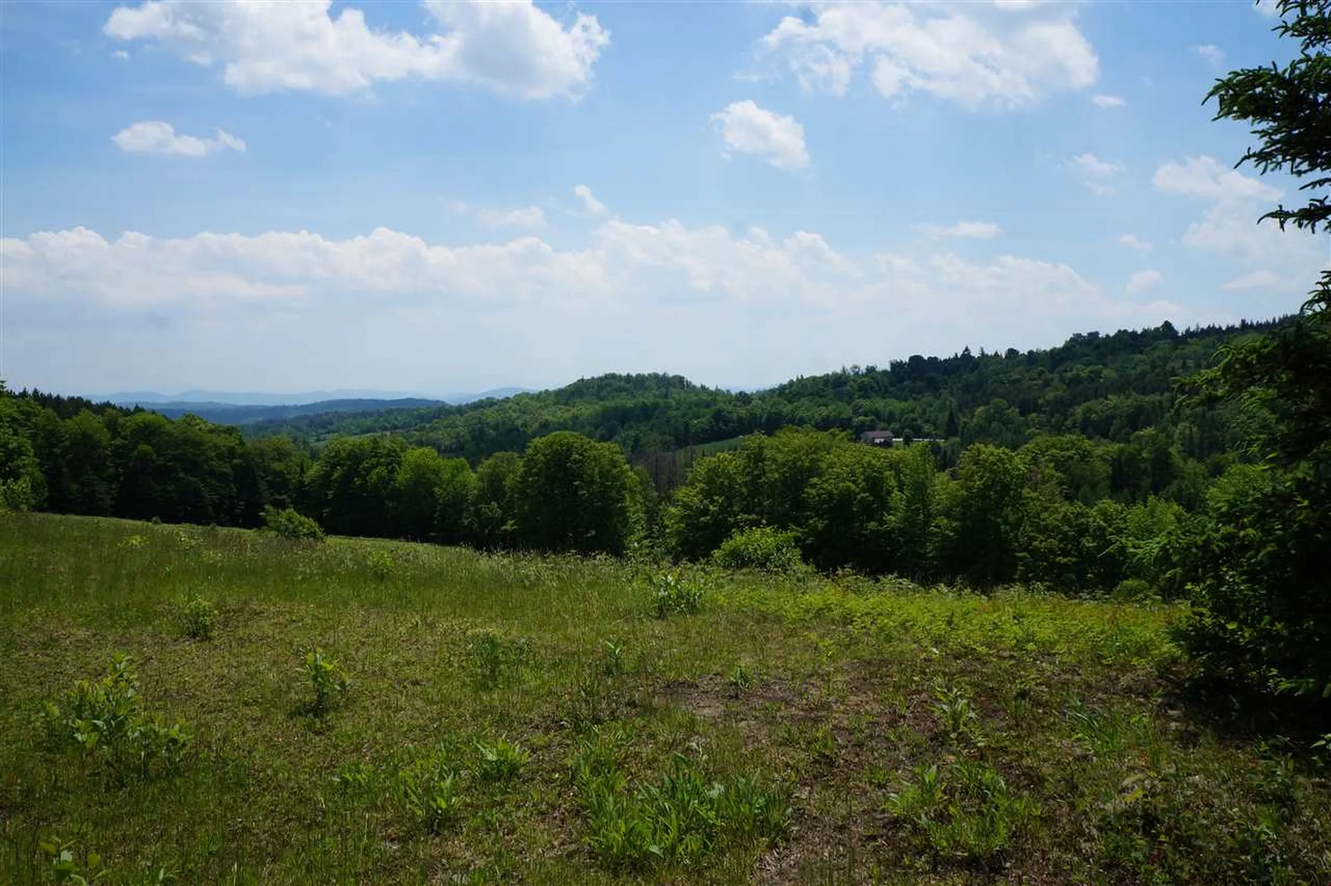 5046 Bayley Hazen Road Peacham VT 05862