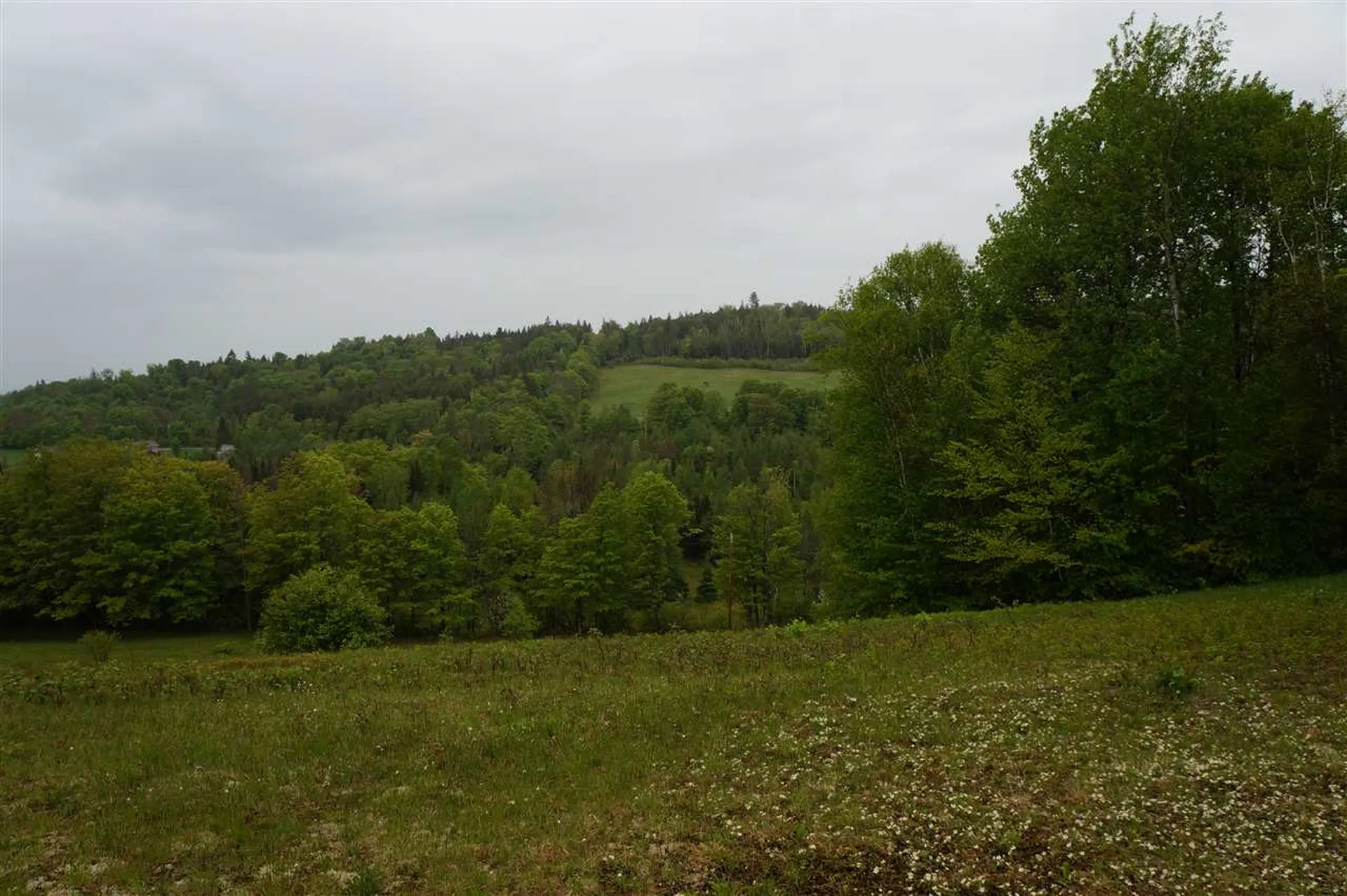 5046 Bayley Hazen Road Peacham VT 05862