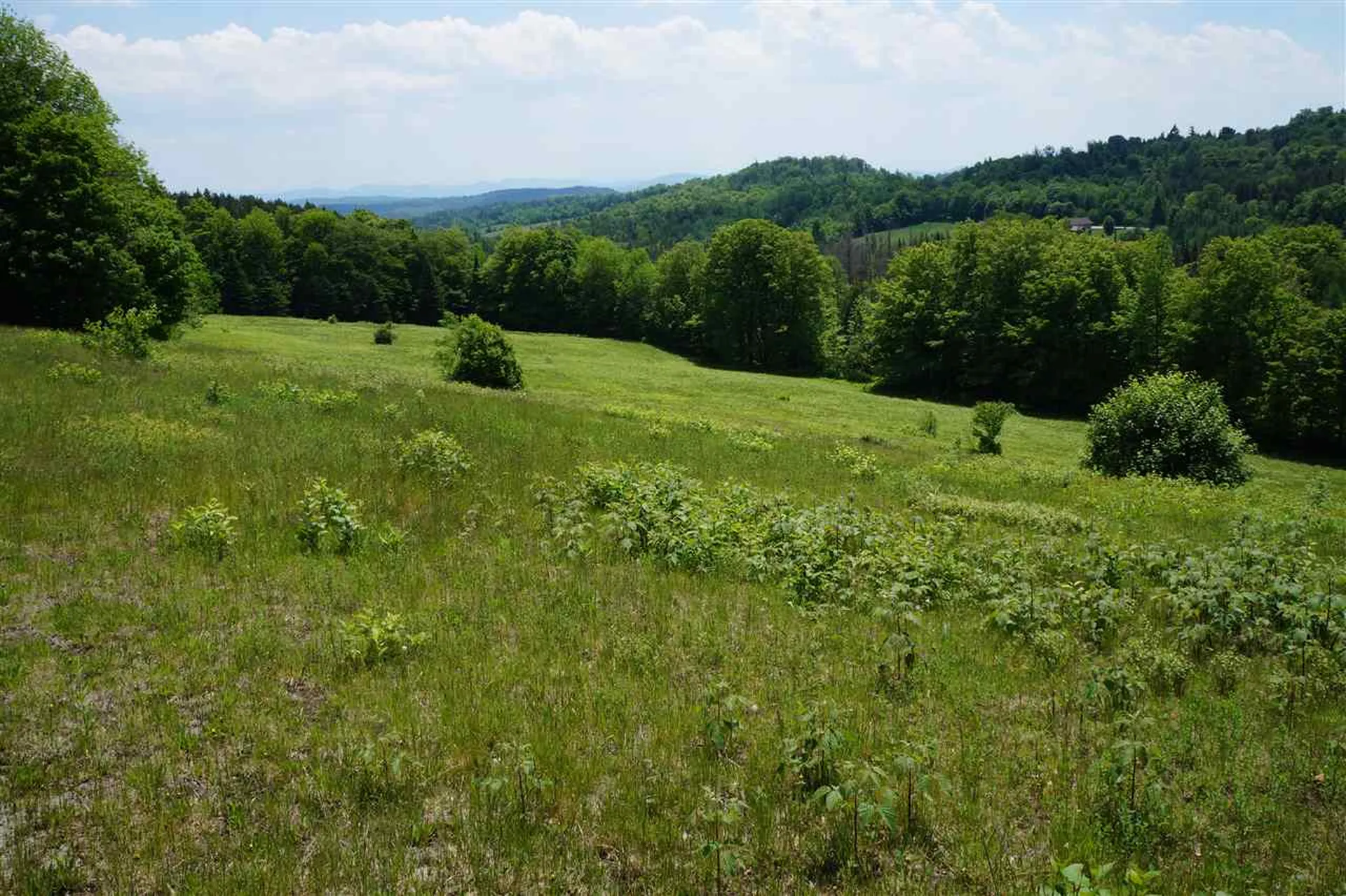 5046 Bayley Hazen Road Peacham VT 05862