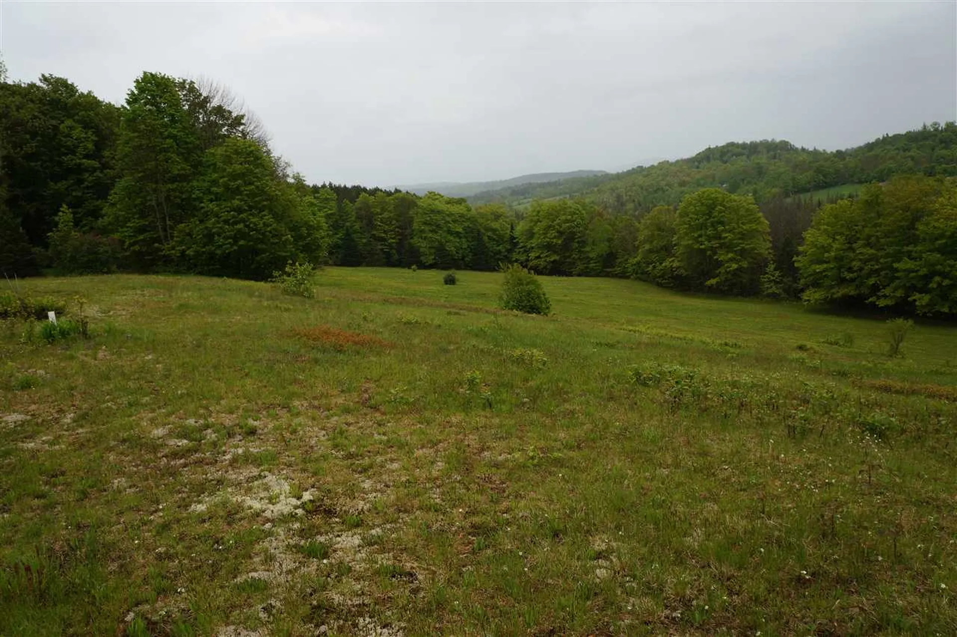 5046 Bayley Hazen Road Peacham VT 05862