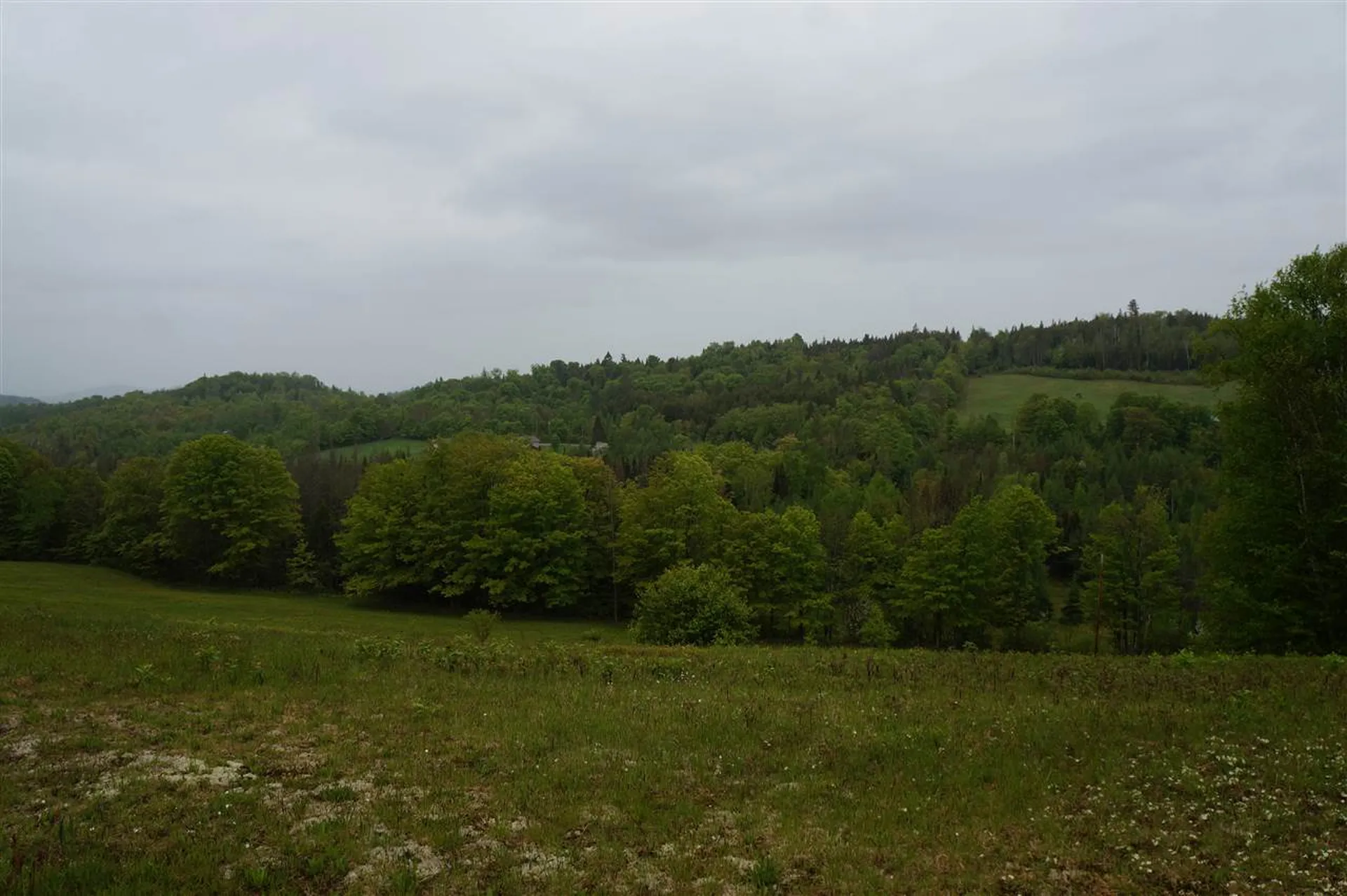 5046 Bayley Hazen Road Peacham VT 05862