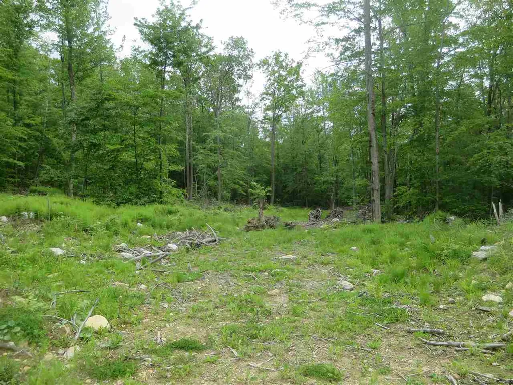 1213 Gore Road Bennington VT 05201