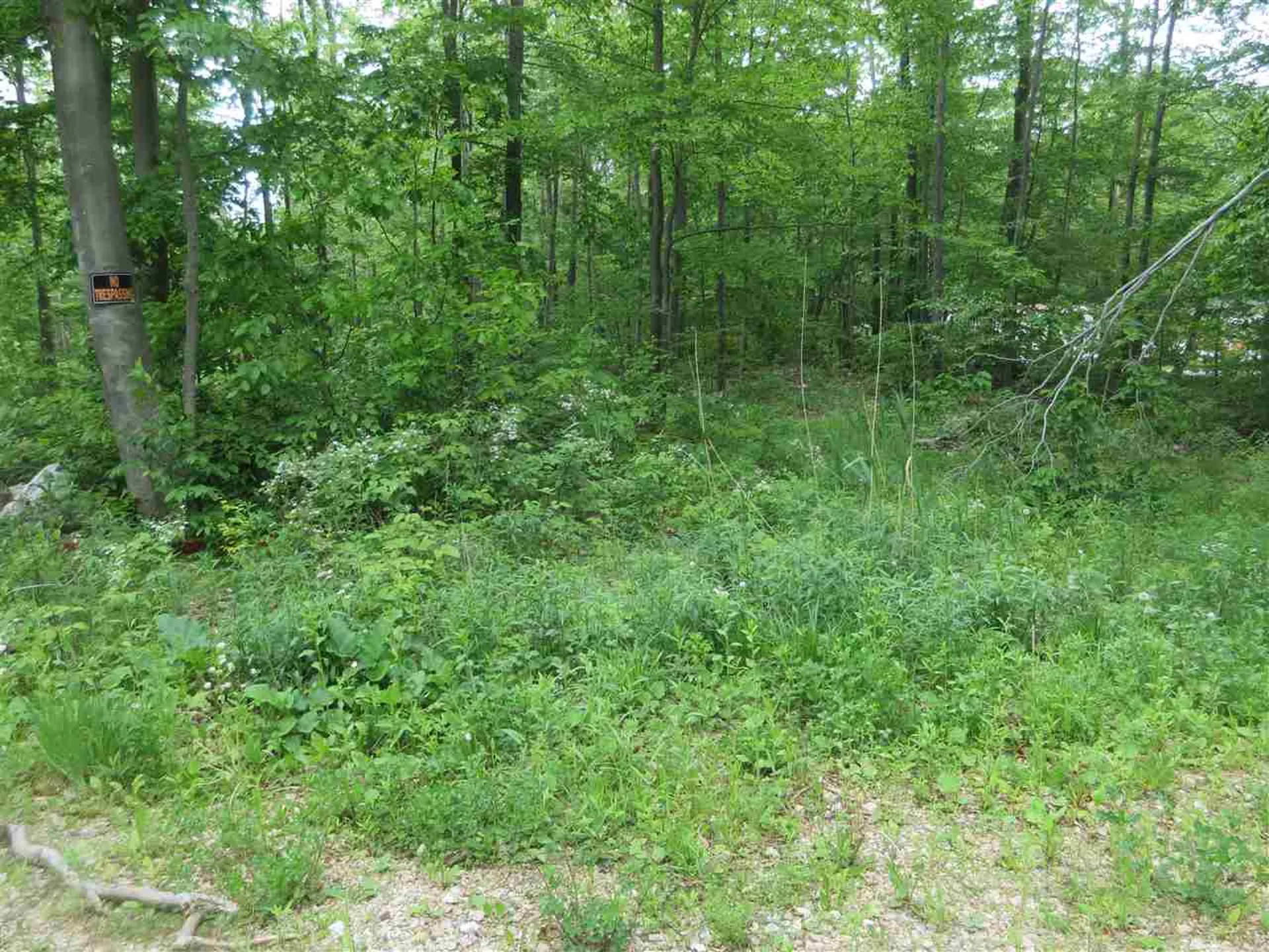 1213 Gore Road Bennington VT 05201