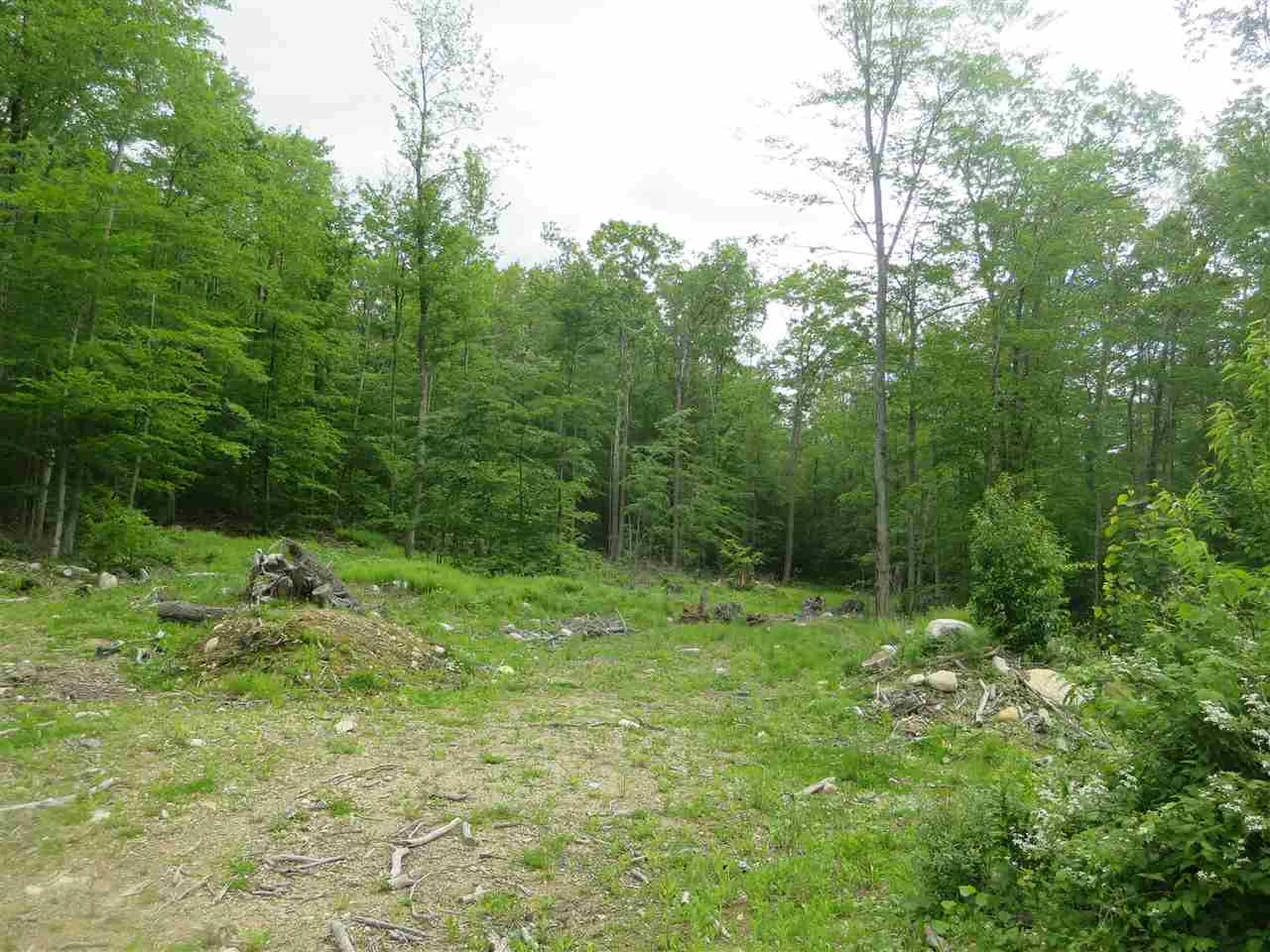 1213 Gore Road Bennington VT 05201
