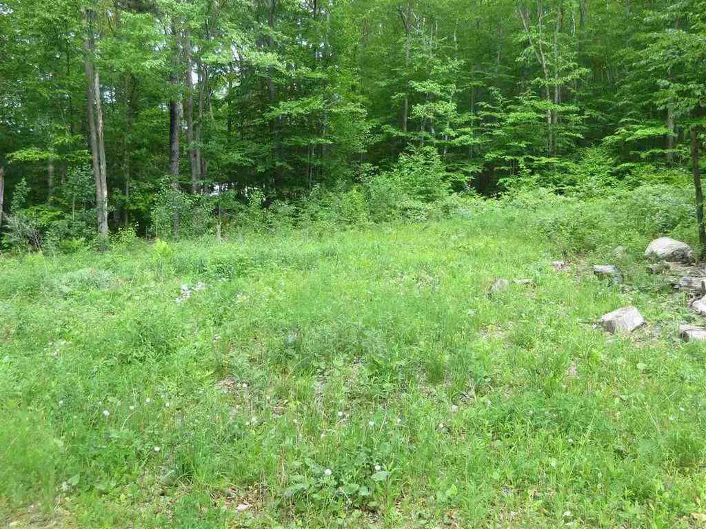1213 Gore Road Bennington VT 05201
