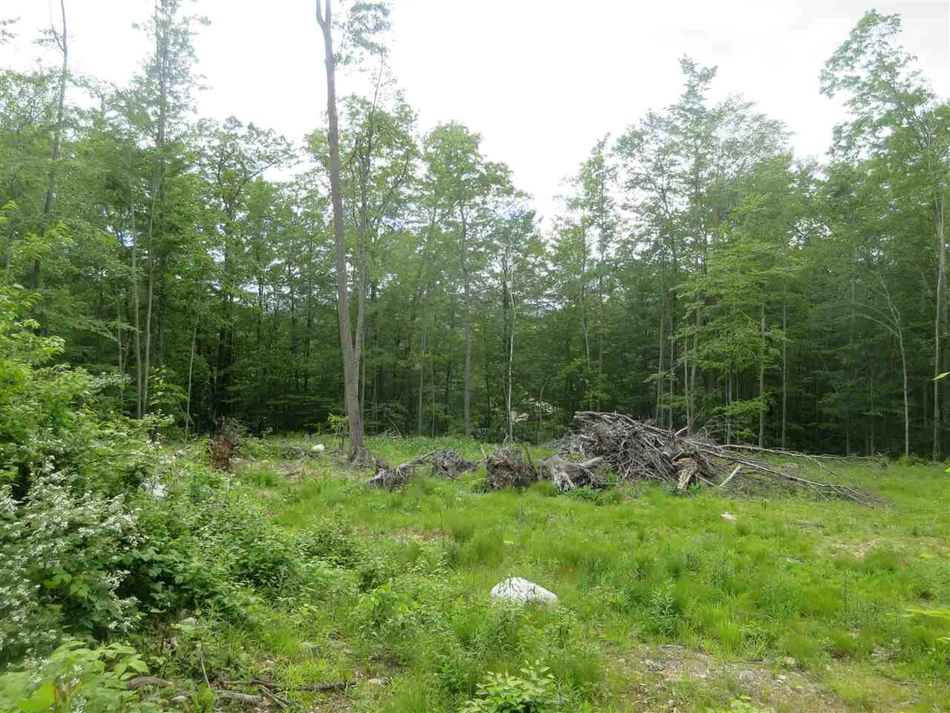 1213 Gore Road Bennington VT 05201