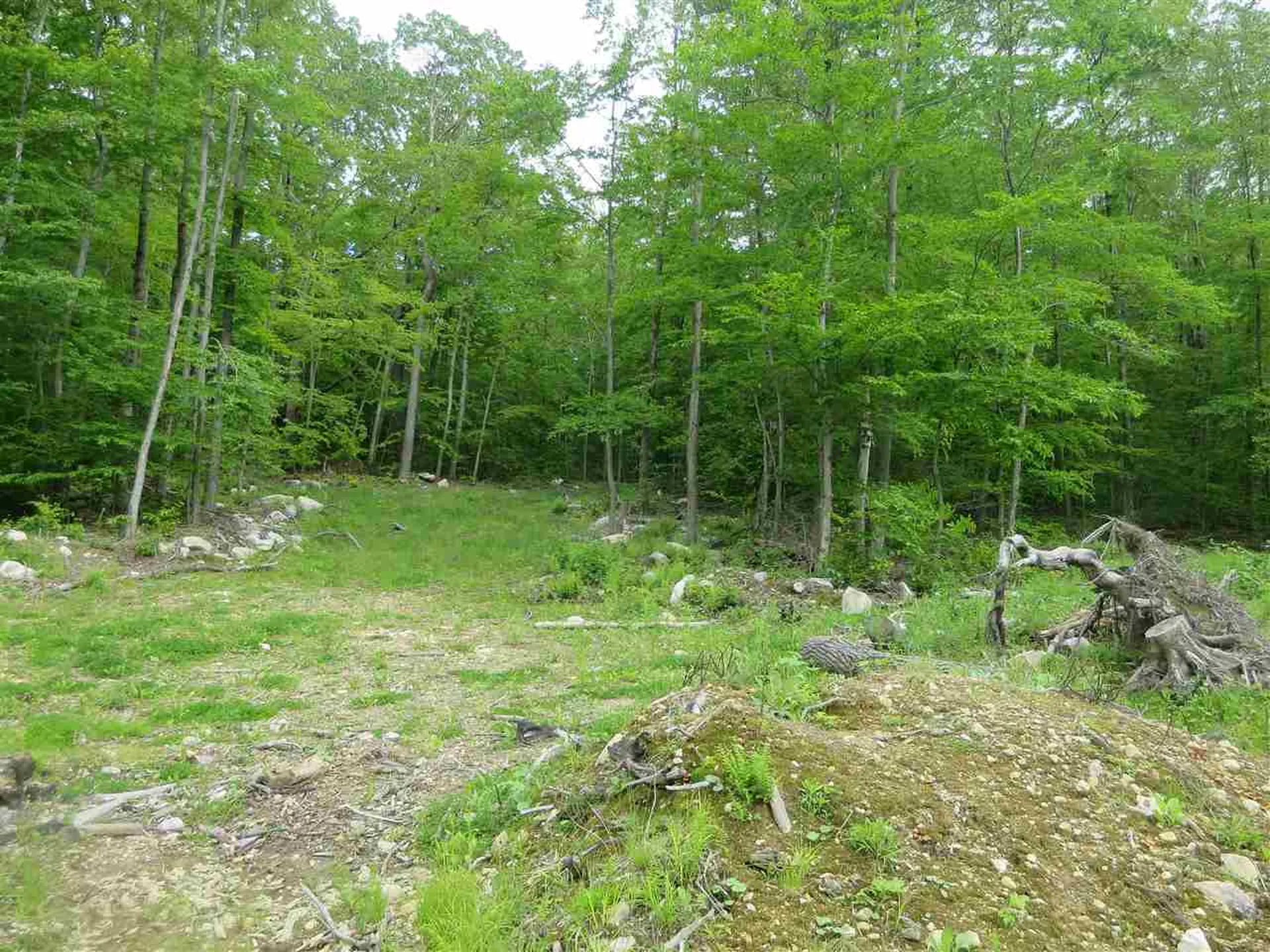 1213 Gore Road Bennington VT 05201