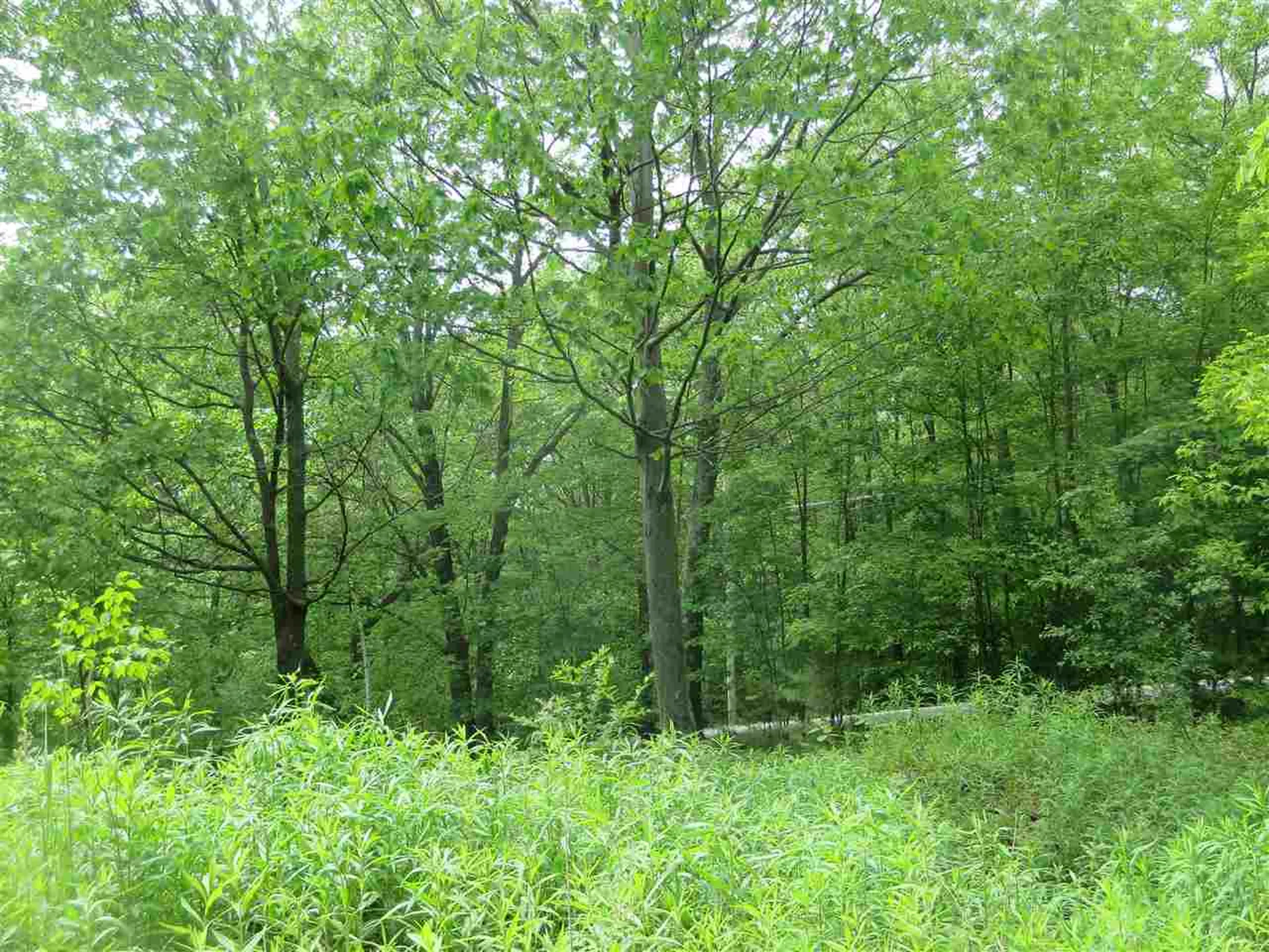 1213 Gore Road Bennington VT 05201