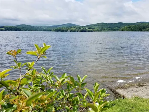 34 Access Lane Glover VT 05875