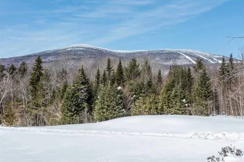 325 Forrester Road Jamaica VT 05343